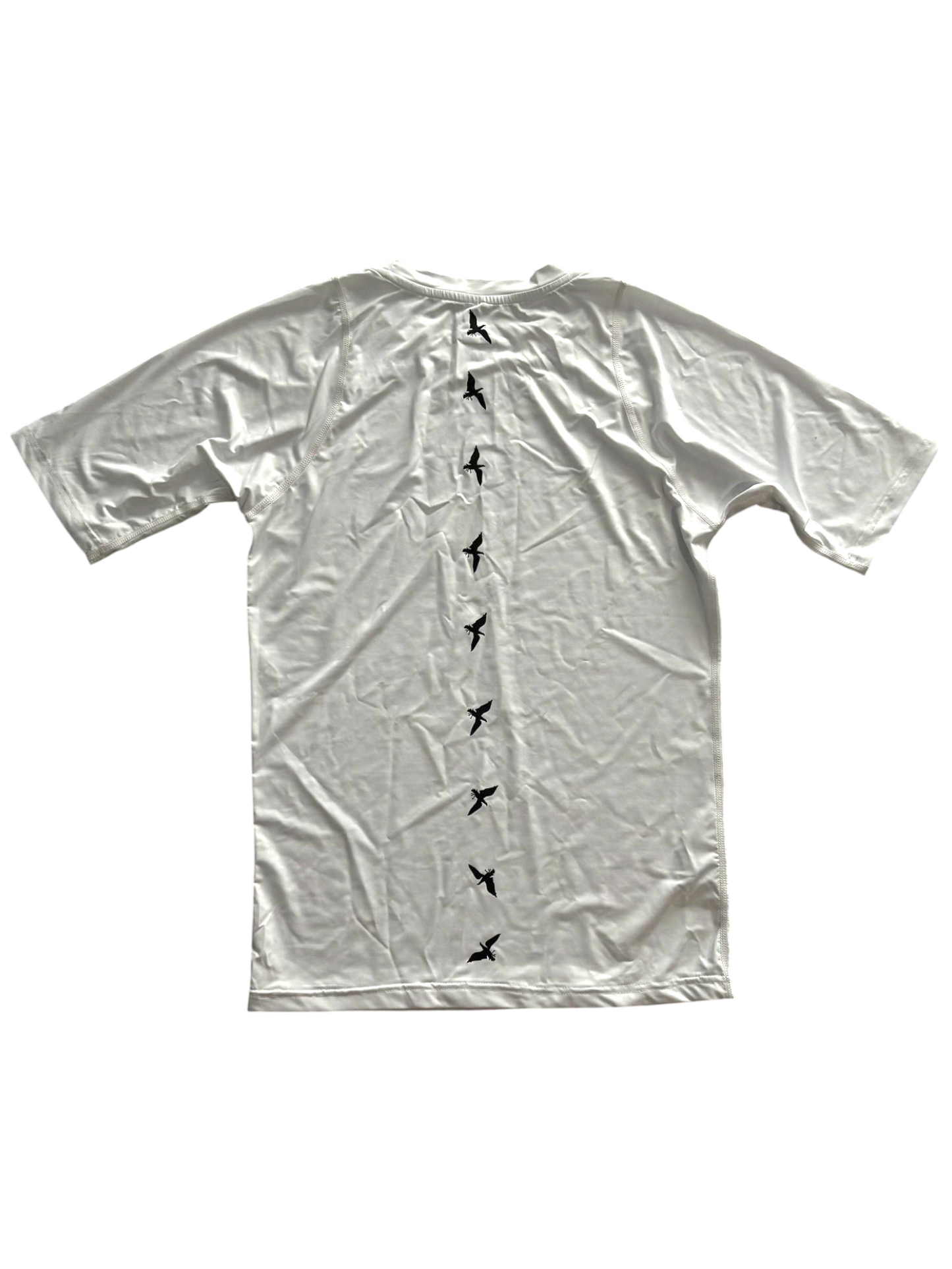 Classic Birds Compression